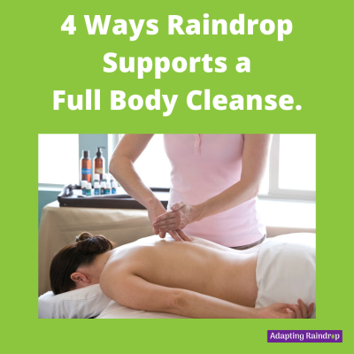 4 ways raindrop supports a full body cleanse